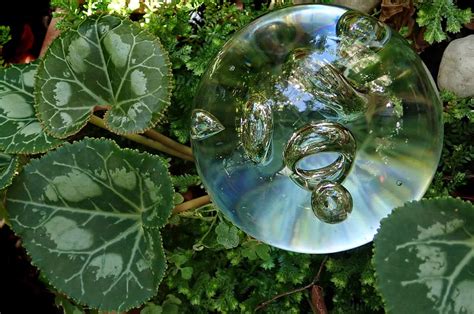How To Buy The Best Self Watering Globes