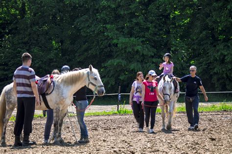 Jahanje - Don Kihot - terapije pomoću konja