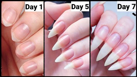 How To Grow Nails In 7 Days One Week Nail Growth Challange How To