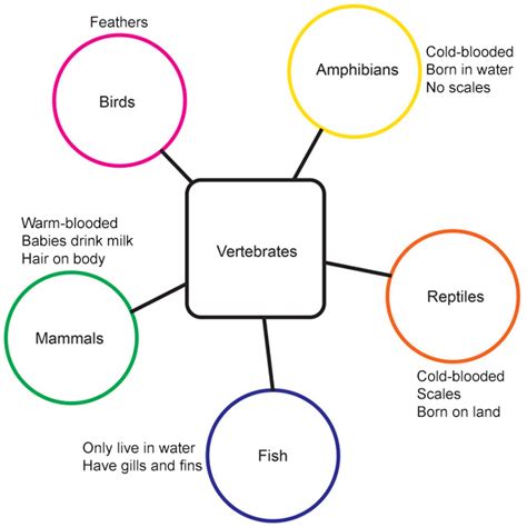 Semantic Mapping Elamp