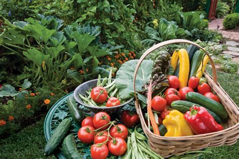 Lively Articles Organic Gardening Assets Around The Internet