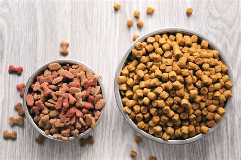 The best dog food for small dogs july 2021. Best Foods for Dogs with Sensitive Stomachs - K9 of Mine
