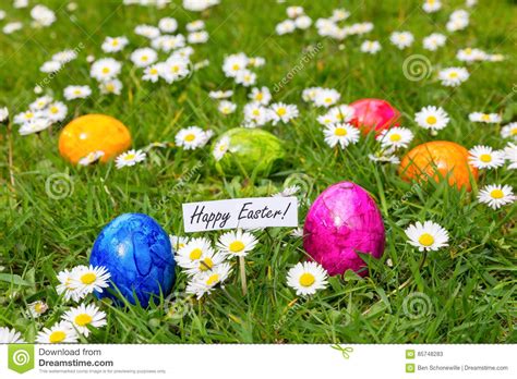 Painted Easter Eggs In Grass With White Daisies Stock Image Image Of