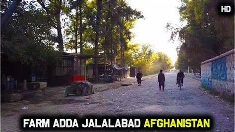Farm Adda Garden Jalalabad Afghanistan 2020 Hd 108060p Youtube