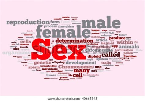 Sex Word Cloud Illustration Graphic Tag Stock Vector Royalty Free