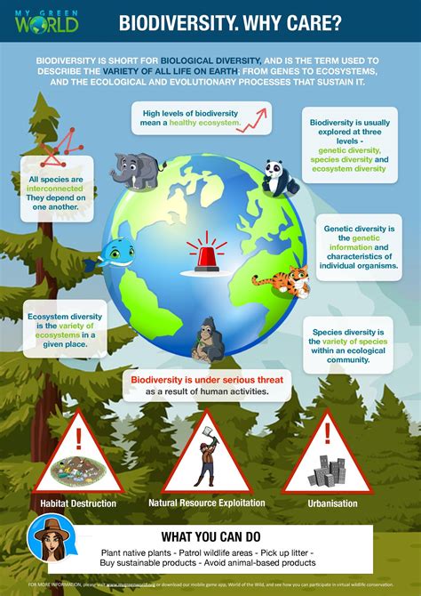 Biodiversity Infographic — My Green World