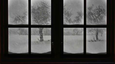 Snowstorm Outside The Window Howling Wind And Fireplace Sounds Winter