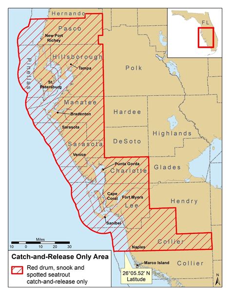 Fwc Extends Catch And Release In Areas Impacted By Prolonged Florida