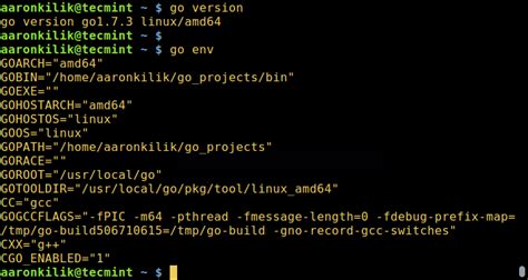 How To Install Golang Go Programming Language In Linux