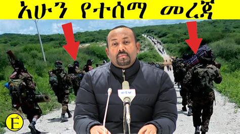 🛑 Voa Amharic Daily News Ethiopia News Youtube