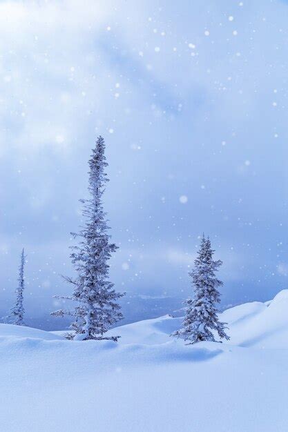Premium Photo Snowdrifts And Fir Trees In Fluffy Snow Sky In Clouds