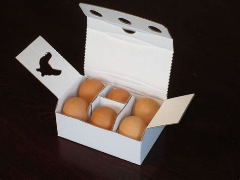 Boîte à œufs En Carton Ondulé Contact Saica Pack
