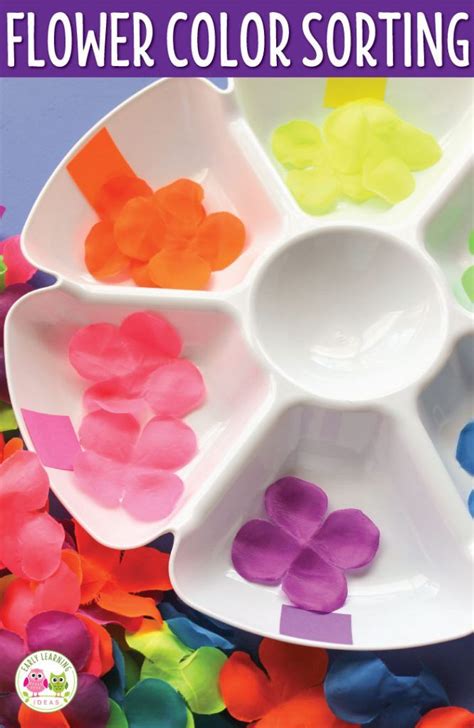 We did not find results for: Flower Color Sorting Activities | Lesson plans for ...