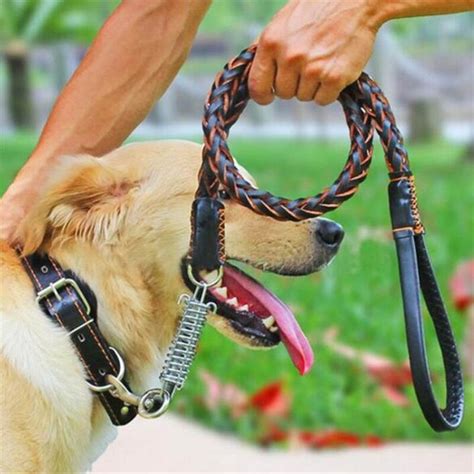 Medium And Large Dogs Dog Leash Dog Rope Genuine Leather Dog Collars