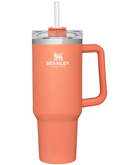 Your Favorite Stanley Tumbler Now Comes In 8 New Spring Ready Colors