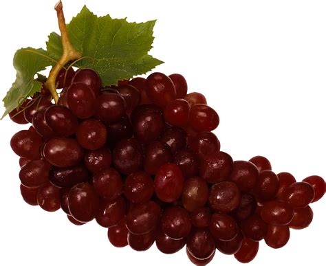 Red Grape Png Image Transparent Image Download Size 1276x1044px