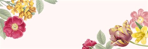 Blank Floral Banner Copy Space Download Free Vectors Clipart