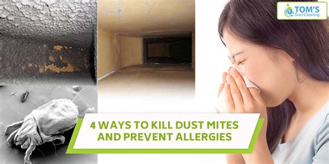 4 Ways To Kill Dust Mites And Prevent Allergies Diy