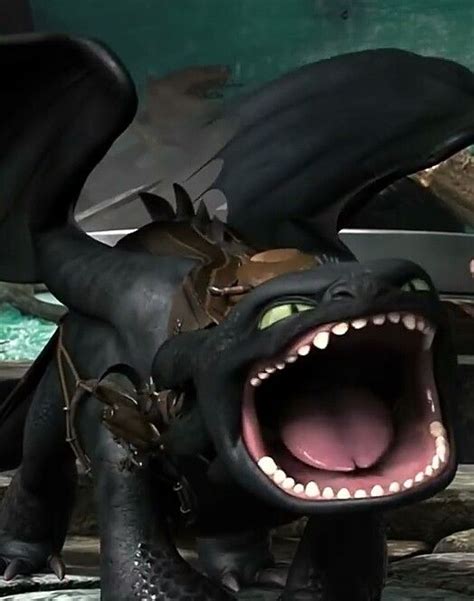 Pin On Httyd Toothless