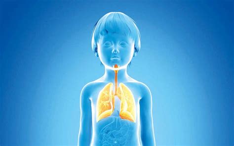 Enfermedades Respiratorias Principal Causa De Enfermedad Y Muerte Infantil