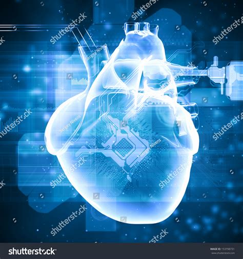 Virtual Image Human Heart Cardiogram Stock Illustration 153798731