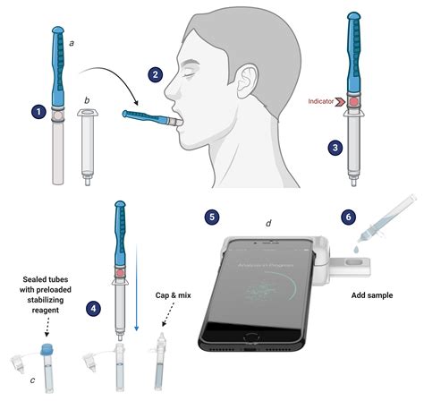 Smartphone Based Saliva Test That Can Detect Covid 19 Earns Uf