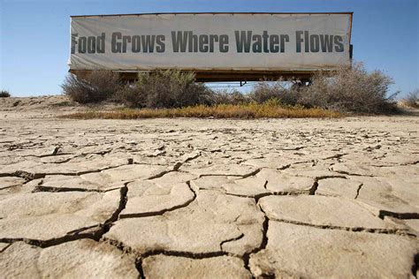 Drought Impact On Environment 8 Effects Of Drought On The