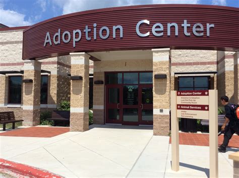 Dog Adoption Centers Near Me Photos All Recommendation