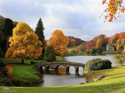 Green Leafed Trees National Geographic Pond Bridge Fall Hd