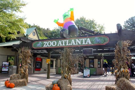 Visiting Zoo Atlanta This Is My South