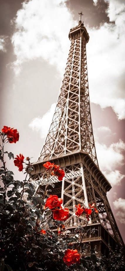 Eiffel Tower In Spring Favorite Photoz