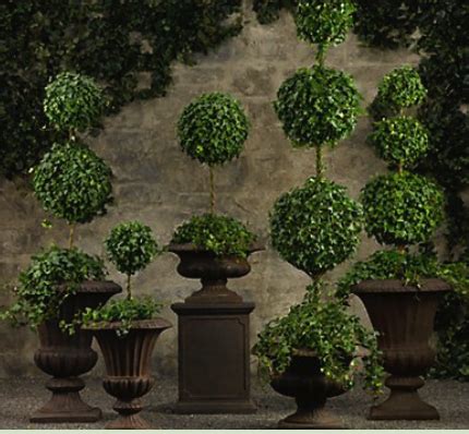 Great selection of indoor and outdoor topiaries. Live Topiaries | Indoor Topiary Plants & Accessories