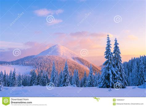Christmas Landscape In The Winter Mountains At Sunset