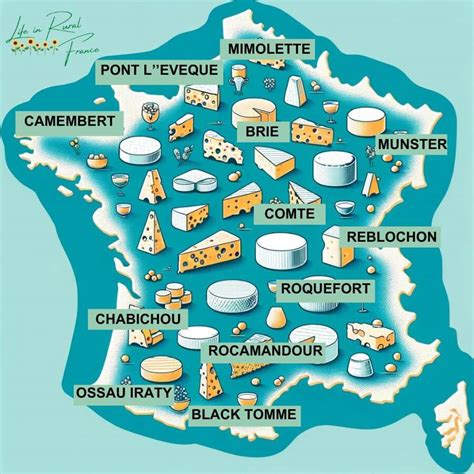 Discover The Best French Cheeses Of 2024