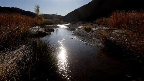 The Amargosa River Defies The Desert The New York Times