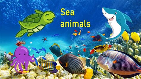 Learn Sea Animals For Kids Youtube