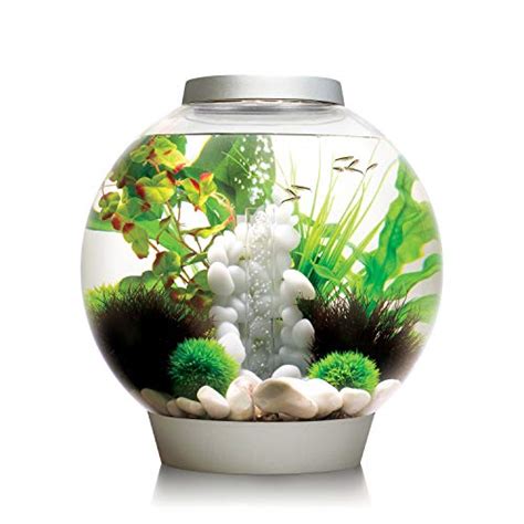 Top 10 Best Selling List For 8 Gallon Fish Tank Buy Aquarium Heater