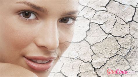 Segera pilih skincare untuk kulit kering dan kusam yang cocok untuk jenis kulit agar masalah cepat teratasi dan wajah kembali cerah! Rekomendasi Skincare Lokal untuk Kulit Kering - GitaCinta.com