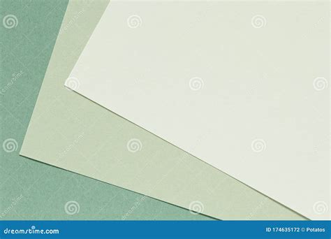 Color Paper Background Neutral Natural Green Colour Palette Stock