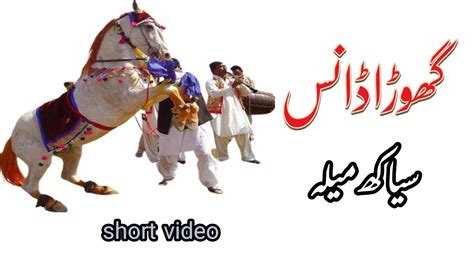 Horse Dance Video Dance Siakh Mela Dadyal Azad Kashmir Youtube