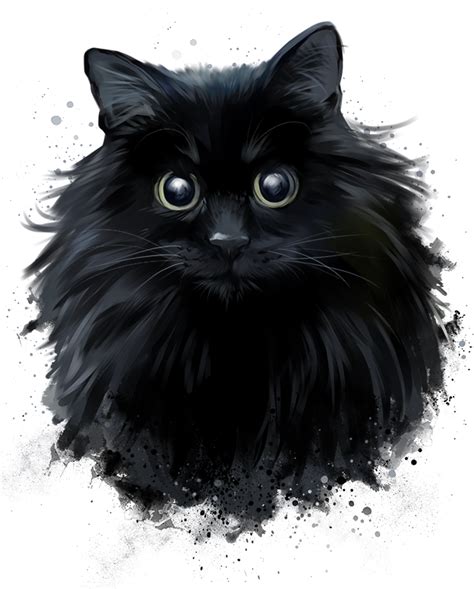 On Deviantart Black Cat