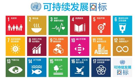 联合国“我的世界my World 2030” 中国项目志愿者合作伙伴丨报名