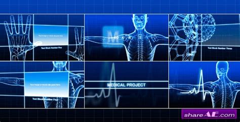 Easy to use & professionally designed. Medical Human - Motion Graphics (Videohive) » free after ...