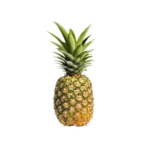 Telman Pineapple