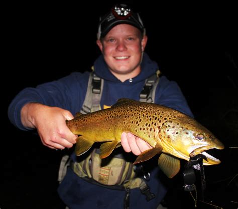 Nighttime Brown Trout The Missoulian Angler Fly Shop