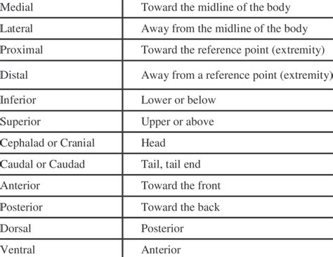 Anatomy Directional Terms Chart
