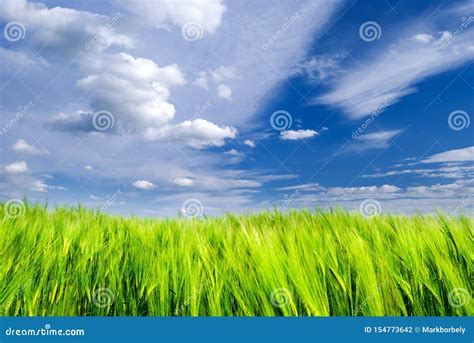 Green Wheat Field And Blue Sky With Storm Clouds Stock Photo Image Of