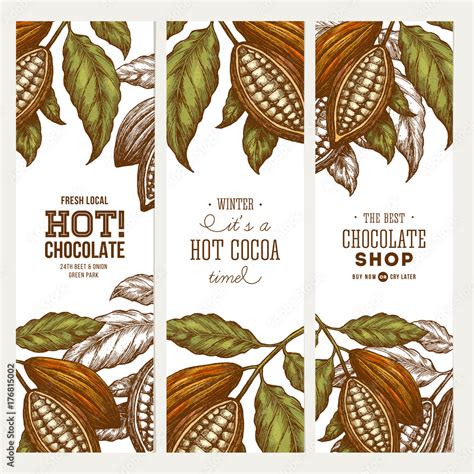 Cocoa Bean Tree Banner Collection Engraved Style Illustration
