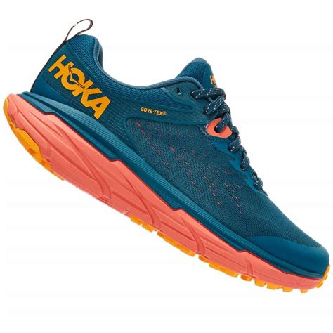 Challenger Atr 6 Gtx Womens Waterproof Trail Running Shoes Blue Coral