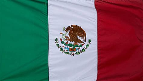 Best Mexican Eagle Stock Photos Pictures And Royalty Free Images Istock